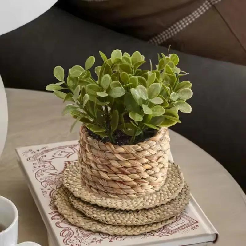 Home Office Layout - Plante en Pot, petites fausses plantes,