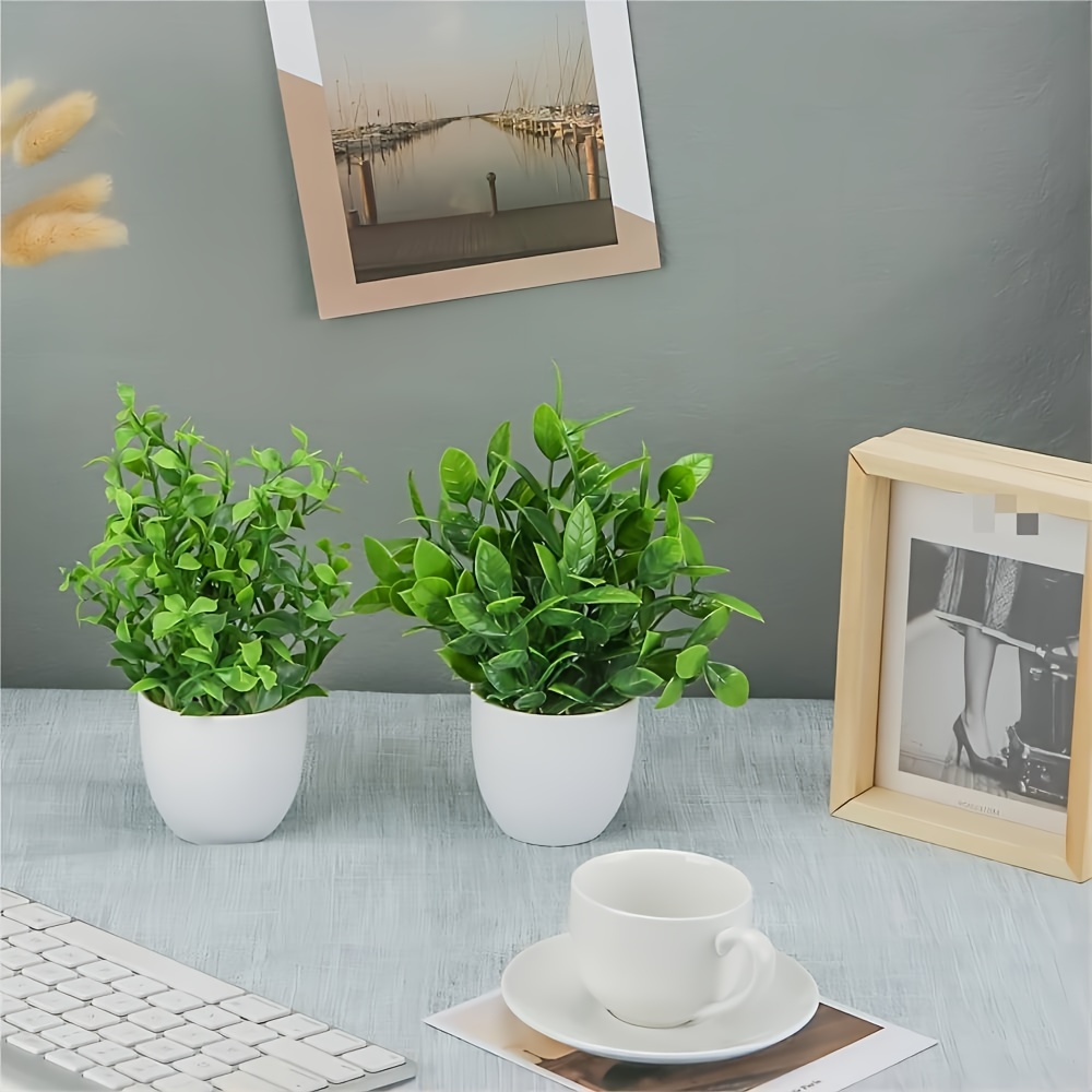 1/4/6 pièces, mini plantes art - Home Office Layout avis et prix