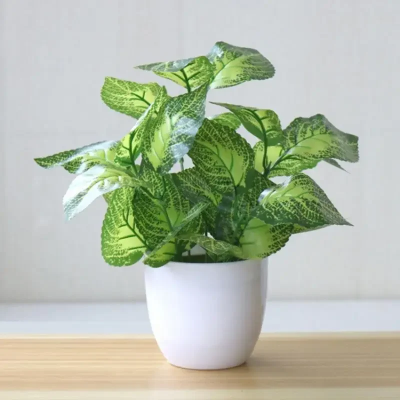 Plantes artificielles, bonsaïs - Home Office Layout avis et prix